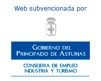 Web subvencionada por la Consejería de Empleo, Industria y Turismo